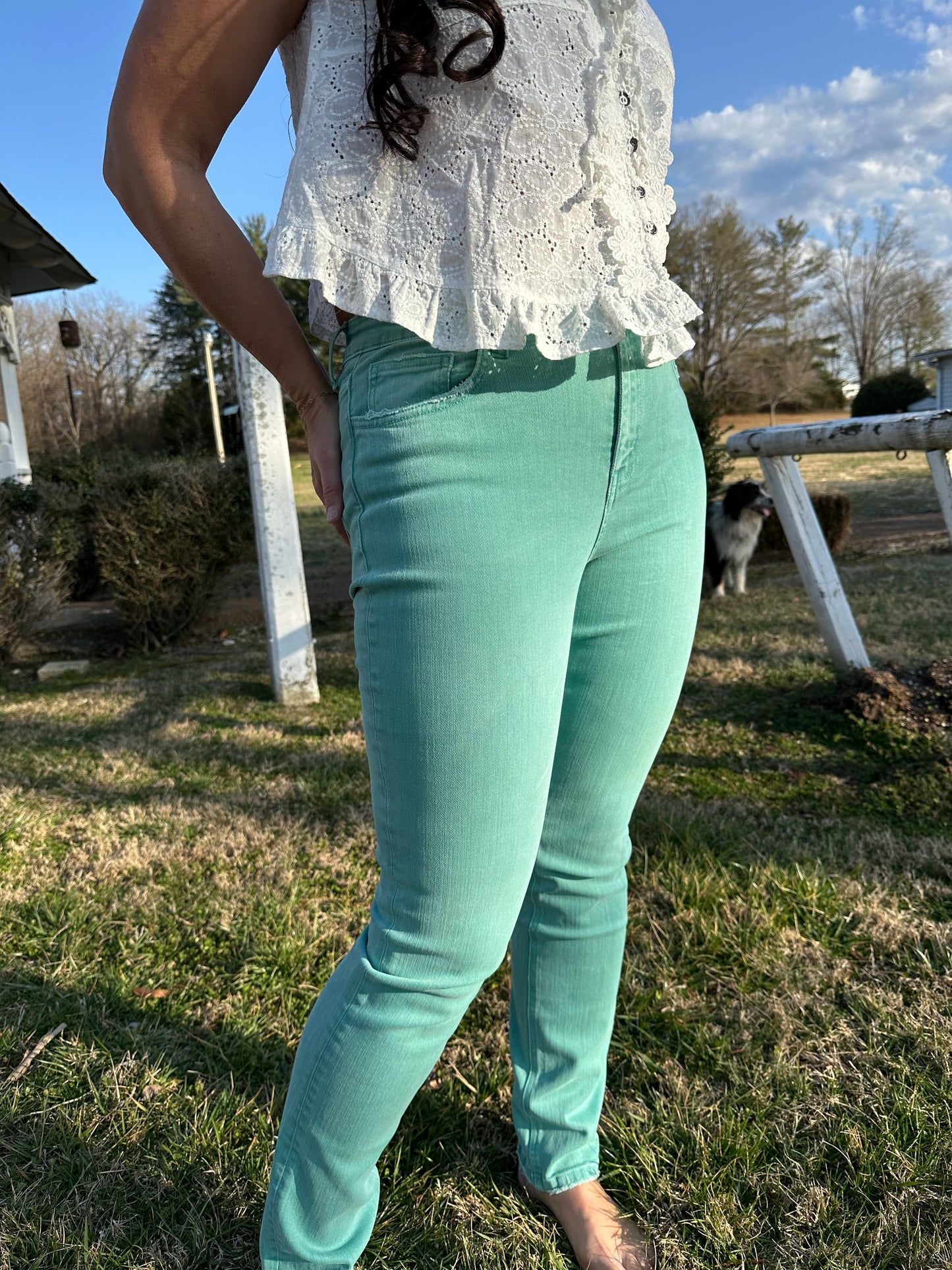 Blue Coral High Rise Straight Pants